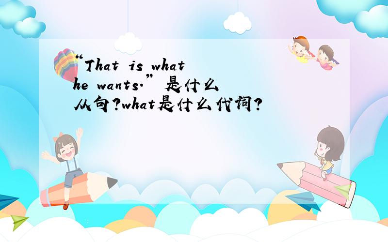 “That is what he wants.” 是什么从句?what是什么代词?