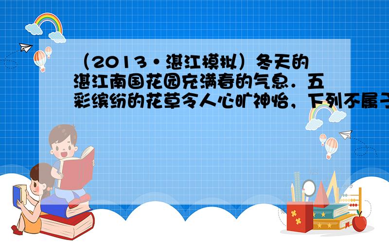 （2013•湛江模拟）冬天的湛江南国花园充满春的气息．五彩缤纷的花草令人心旷神怡，下列不属于这里生物共同特征的是（　　）