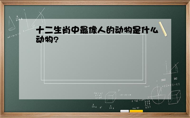 十二生肖中最像人的动物是什么动物?