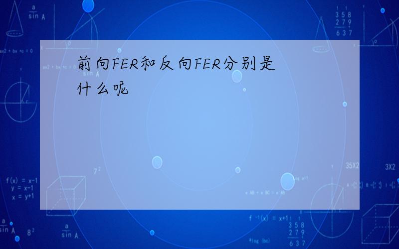 前向FER和反向FER分别是什么呢