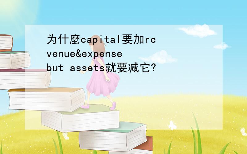 为什麼capital要加revenue&expense but assets就要减它?