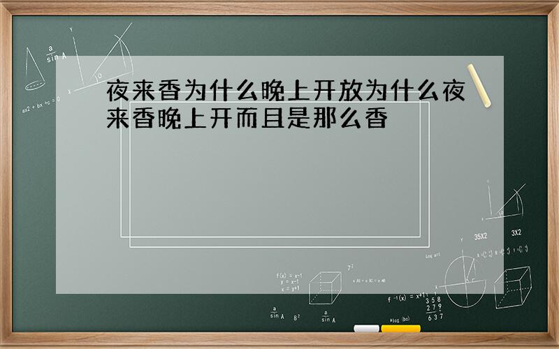 夜来香为什么晚上开放为什么夜来香晚上开而且是那么香