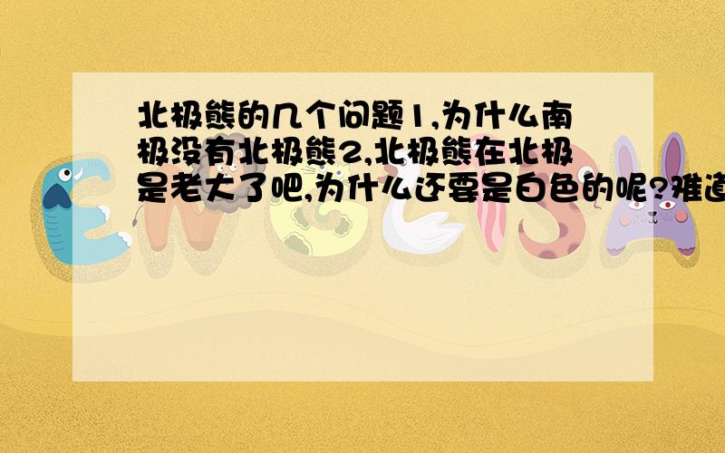 北极熊的几个问题1,为什么南极没有北极熊2,北极熊在北极是老大了吧,为什么还要是白色的呢?难道它还有天敌,需要伪装自己吗