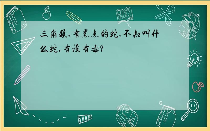 三角头,有黑点的蛇,不知叫什么蛇,有没有毒?