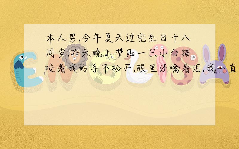 本人男,今年夏天过完生日十八周岁,昨天晚上梦见一只小白猫咬着我的手不松开,眼里还噙着泪,我一直不敢动,好像还有点疼,我甩