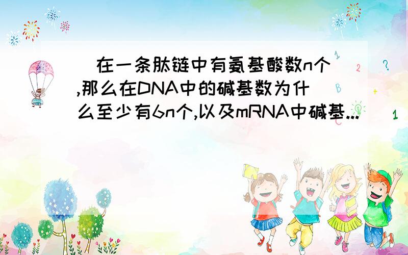 )在一条肽链中有氨基酸数n个,那么在DNA中的碱基数为什么至少有6n个,以及mRNA中碱基...