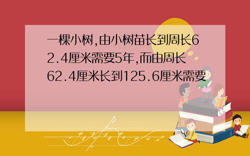 一棵小树,由小树苗长到周长62.4厘米需要5年,而由周长62.4厘米长到125.6厘米需要