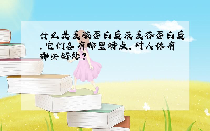 什么是麦胶蛋白质及麦谷蛋白质,它们各有哪里特点,对人体有哪些好处?