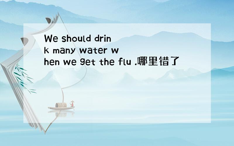 We should drink many water when we get the flu .哪里错了