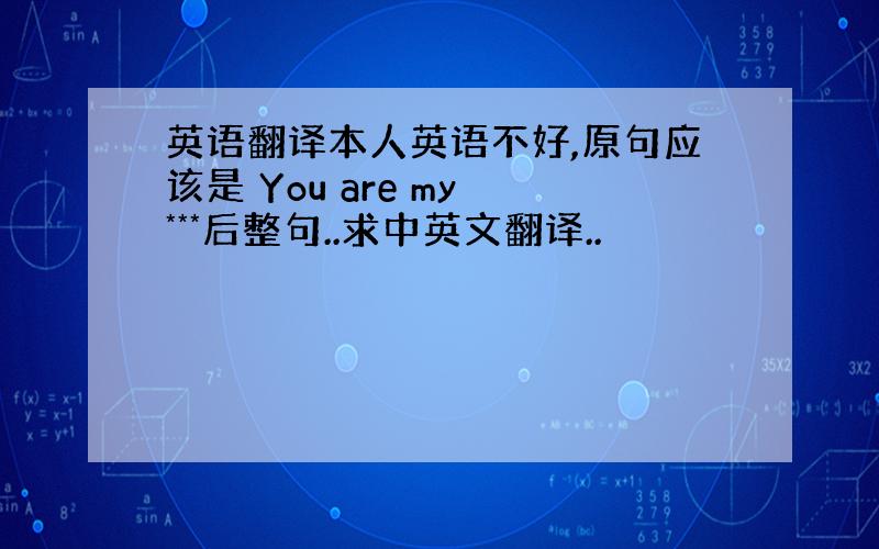 英语翻译本人英语不好,原句应该是 You are my ***后整句..求中英文翻译..