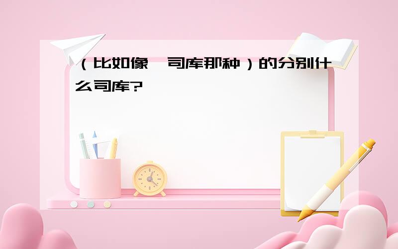 （比如像佟司库那种）的分别什么司库?