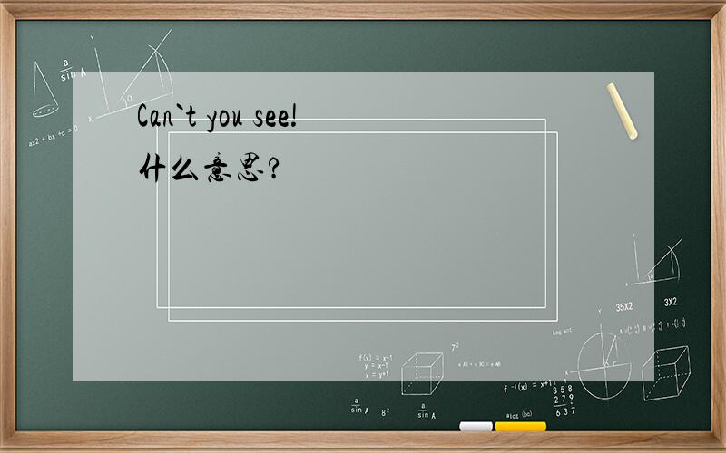 Can`t you see!什么意思?