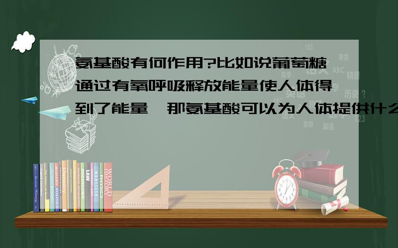 氨基酸有何作用?比如说葡萄糖通过有氧呼吸释放能量使人体得到了能量,那氨基酸可以为人体提供什么呢?