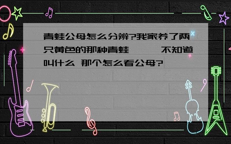 青蛙公母怎么分辨?我家养了两只黄色的那种青蛙```不知道叫什么 那个怎么看公母?