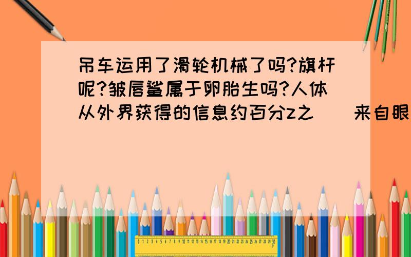 吊车运用了滑轮机械了吗?旗杆呢?皱唇鲨属于卵胎生吗?人体从外界获得的信息约百分z之（）来自眼睛?