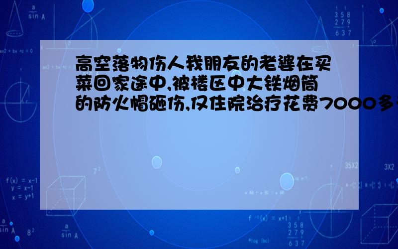 高空落物伤人我朋友的老婆在买菜回家途中,被楼区中大铁烟筒的防火帽砸伤,仅住院治疗花费7000多元,住院10天,请问应向谁