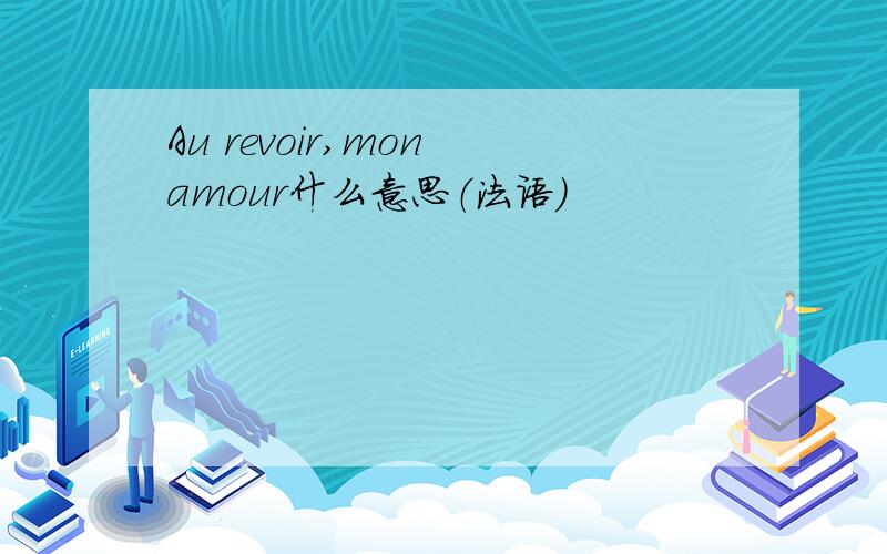 Au revoir,mon amour什么意思（法语）