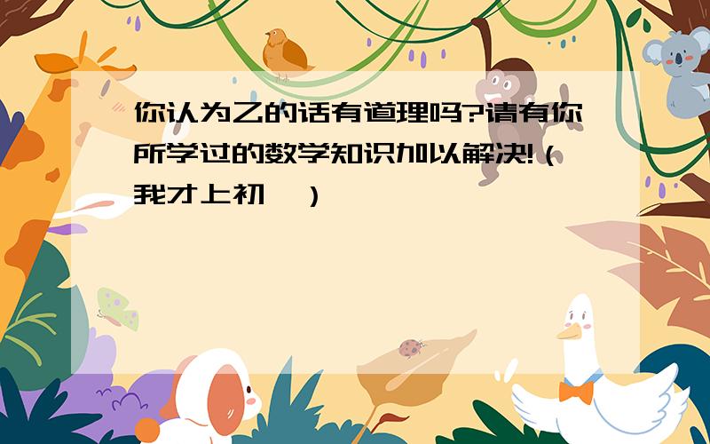 你认为乙的话有道理吗?请有你所学过的数学知识加以解决!（我才上初一）