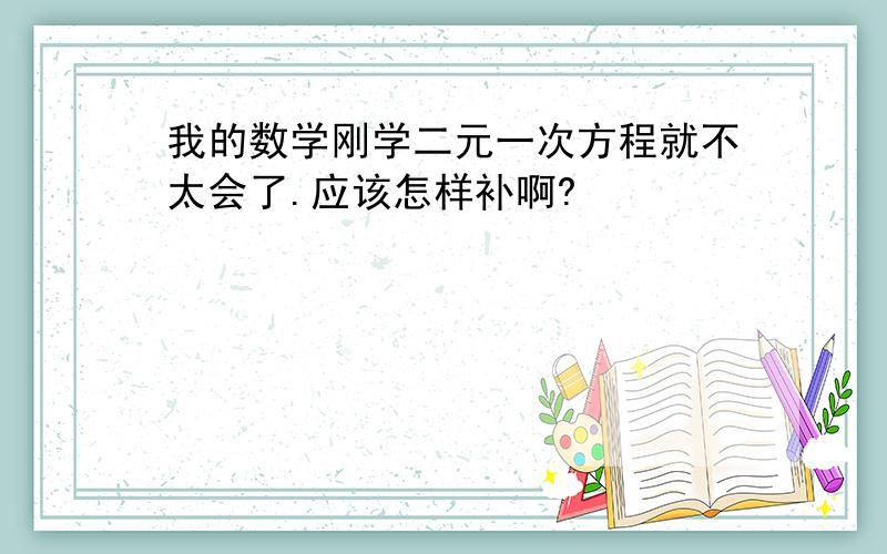 我的数学刚学二元一次方程就不太会了.应该怎样补啊?