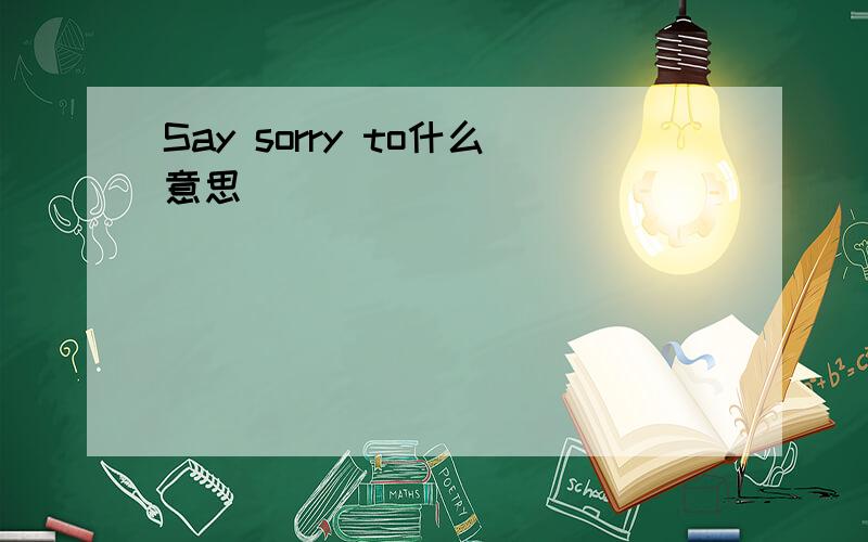 Say sorry to什么意思