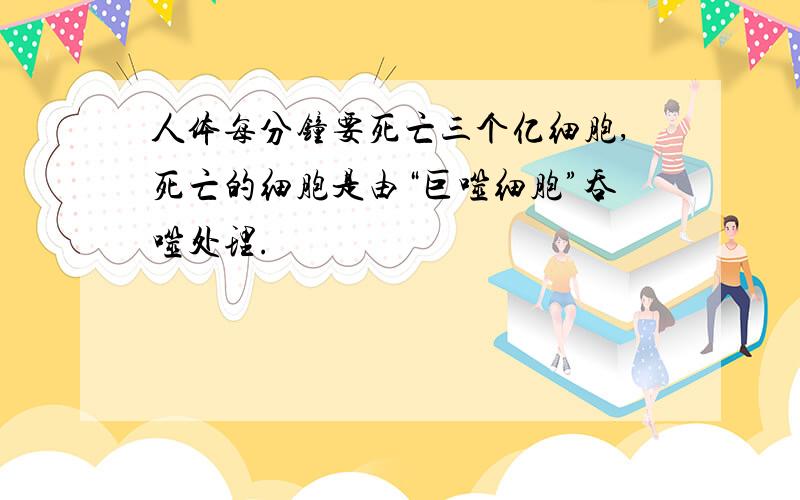 人体每分钟要死亡三个亿细胞,死亡的细胞是由“巨噬细胞”吞噬处理.