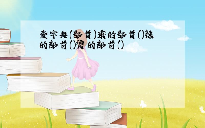 查字典(部首)秉的部首()辣的部首()烫的部首()