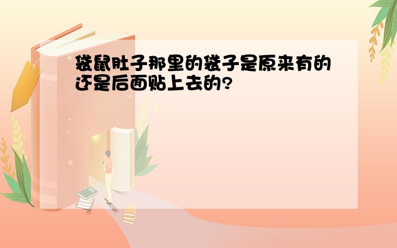 袋鼠肚子那里的袋子是原来有的还是后面贴上去的?