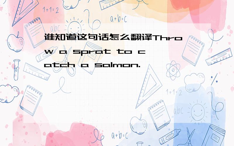 谁知道这句话怎么翻译Throw a sprat to catch a salmon.