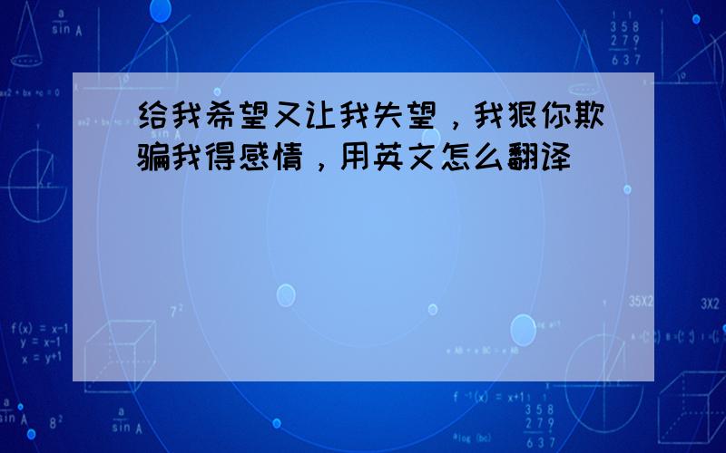 给我希望又让我失望，我狠你欺骗我得感情，用英文怎么翻译