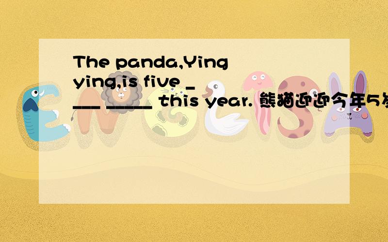 The panda,Yingying,is five ____ _____ this year. 熊猫迎迎今年5岁 每空