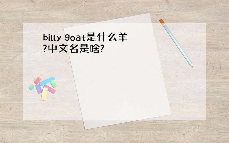 billy goat是什么羊?中文名是啥?