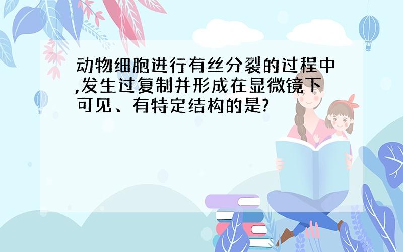 动物细胞进行有丝分裂的过程中,发生过复制并形成在显微镜下可见、有特定结构的是?