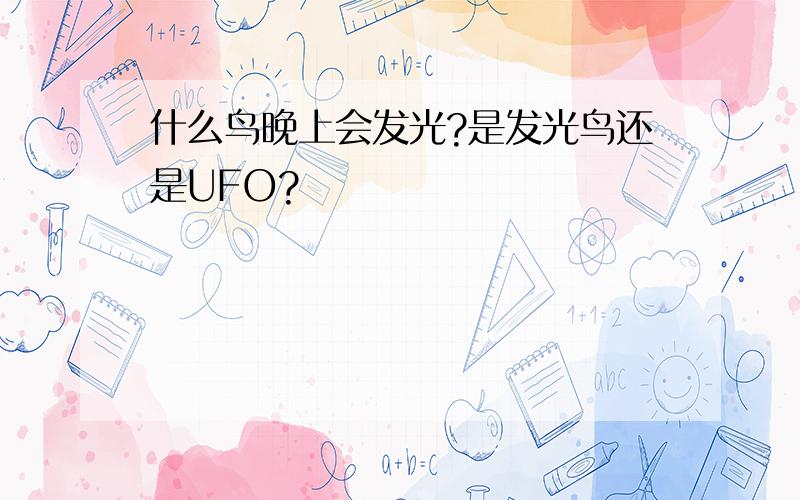 什么鸟晚上会发光?是发光鸟还是UFO?