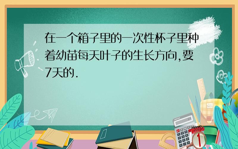 在一个箱子里的一次性杯子里种着幼苗每天叶子的生长方向,要7天的.