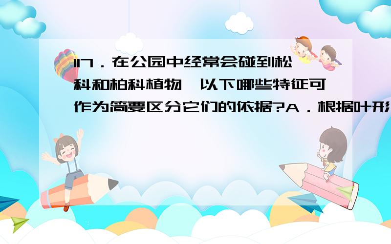 117．在公园中经常会碰到松科和柏科植物,以下哪些特征可作为简要区分它们的依据?A．根据叶形 B．根据叶