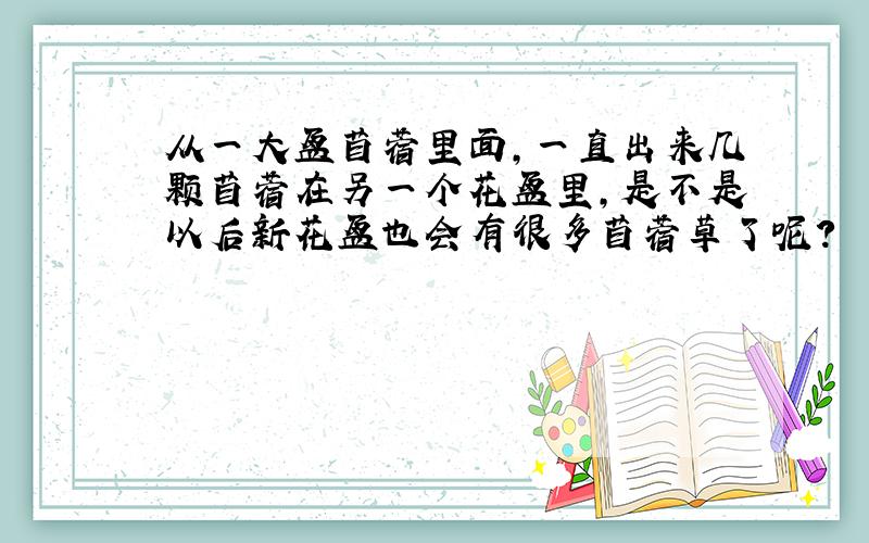 从一大盆苜蓿里面,一直出来几颗苜蓿在另一个花盆里,是不是以后新花盆也会有很多苜蓿草了呢?