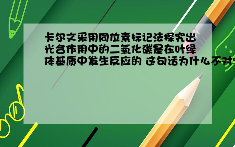 卡尔文采用同位素标记法探究出光合作用中的二氧化碳是在叶绿体基质中发生反应的 这句话为什么不对?