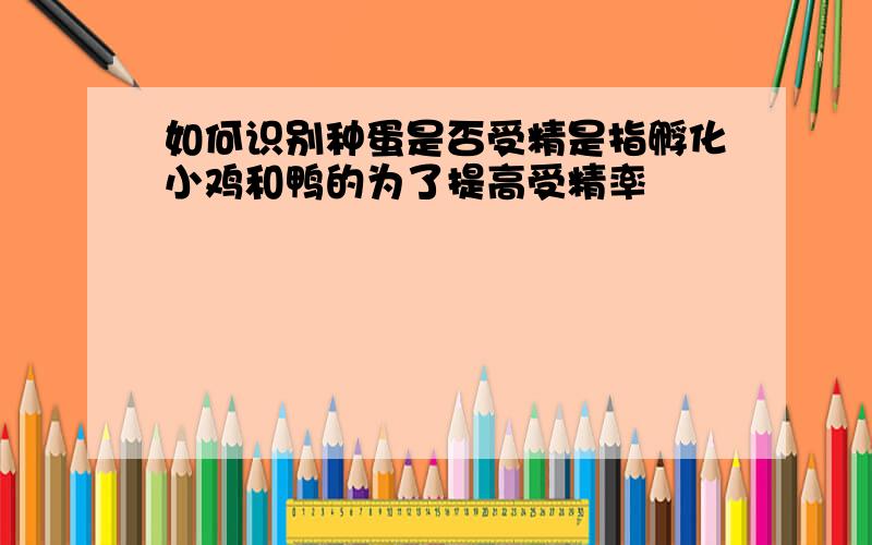 如何识别种蛋是否受精是指孵化小鸡和鸭的为了提高受精率