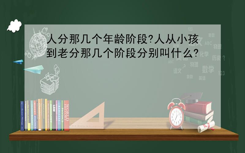 人分那几个年龄阶段?人从小孩到老分那几个阶段分别叫什么?