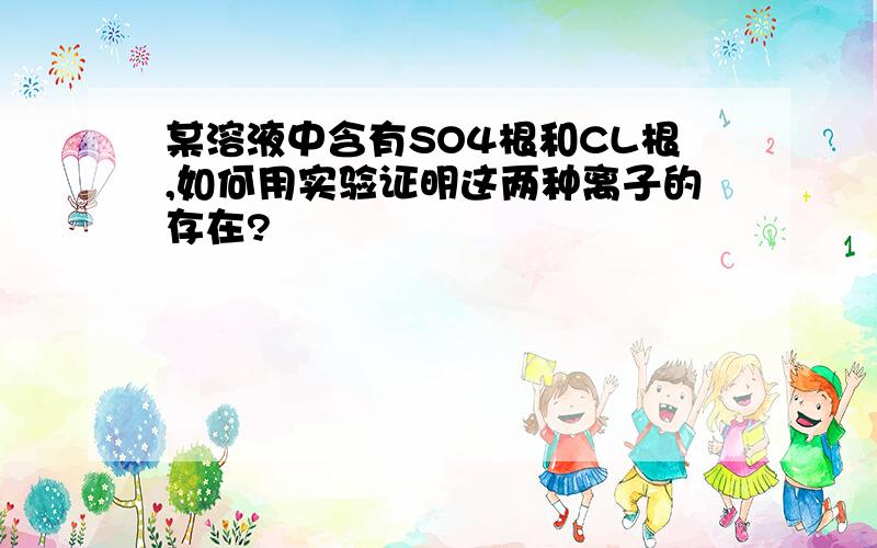 某溶液中含有SO4根和CL根,如何用实验证明这两种离子的存在?