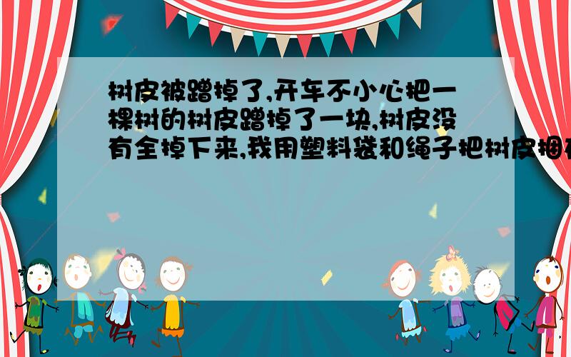 树皮被蹭掉了,开车不小心把一棵树的树皮蹭掉了一块,树皮没有全掉下来,我用塑料袋和绳子把树皮捆在了原来的位置,为了防止被人