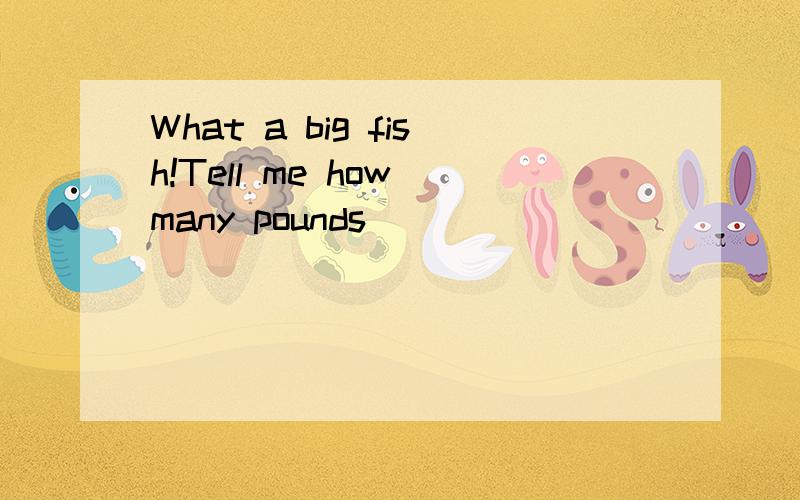 What a big fish!Tell me how many pounds ()