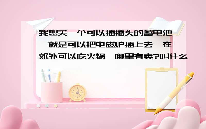 我想买一个可以插插头的蓄电池,就是可以把电磁炉插上去,在郊外可以吃火锅,哪里有卖?叫什么