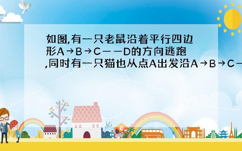 如图,有一只老鼠沿着平行四边形A→B→C——D的方向逃跑,同时有一只猫也从点A出发沿A→B→C——D的方向