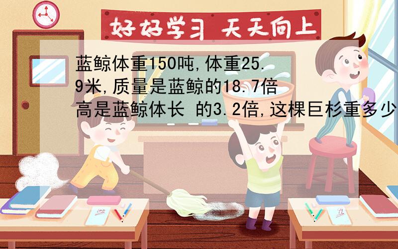 蓝鲸体重150吨,体重25.9米,质量是蓝鲸的18.7倍高是蓝鲸体长 的3.2倍,这棵巨杉重多少吨、高多少米、