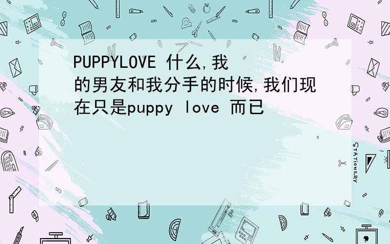 PUPPYLOVE 什么,我的男友和我分手的时候,我们现在只是puppy love 而已