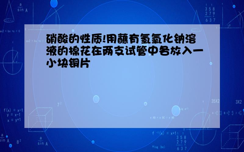 硝酸的性质!用蘸有氢氧化钠溶液的棉花在两支试管中各放入一小块铜片