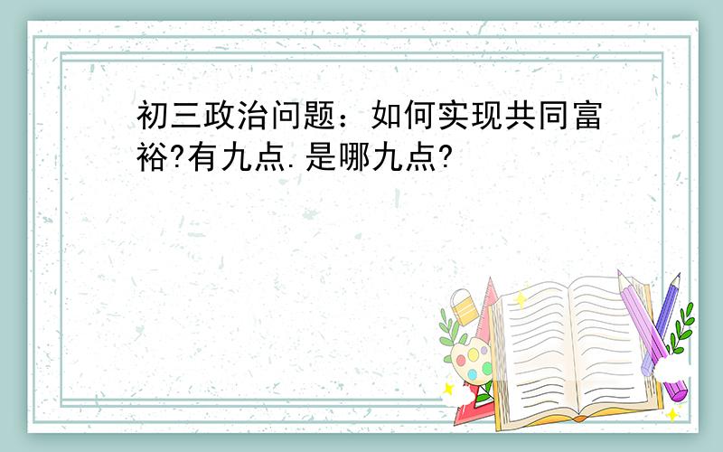 初三政治问题：如何实现共同富裕?有九点.是哪九点?