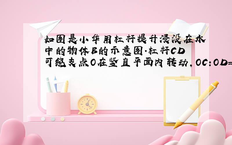 如图是小华用杠杆提升浸没在水中的物体B的示意图.杠杆CD可绕支点O在竖直平面内转动,OC:OD=1:2,物体A为配重,其