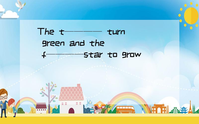 The t———— turn green and the f————star to grow